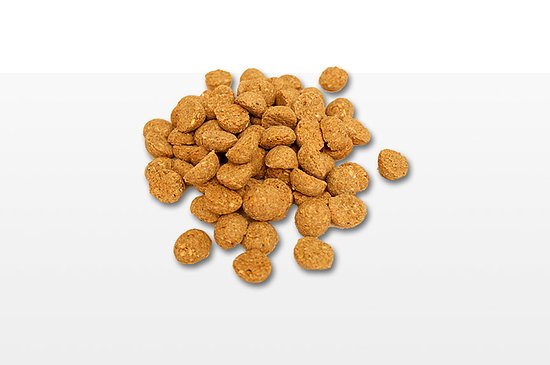 Bild 1 - PETfit Dog Gourmettaler